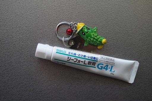 【SOL】　slice　of 　G