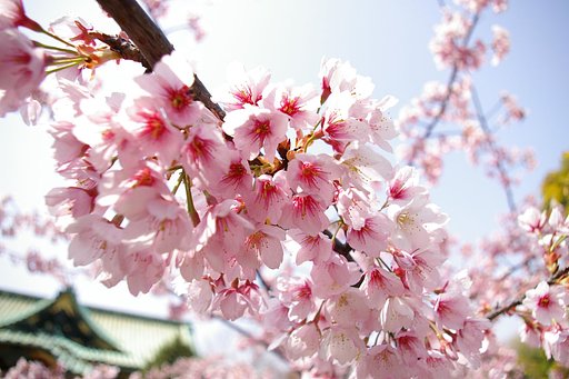 眩しいほどに