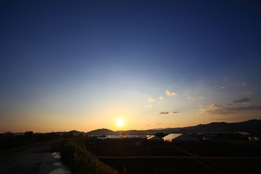 新しい朝が来た