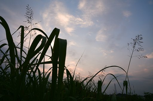 朝空