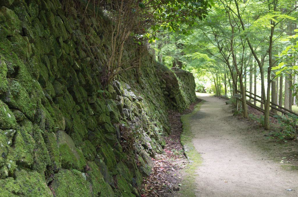 里山の道