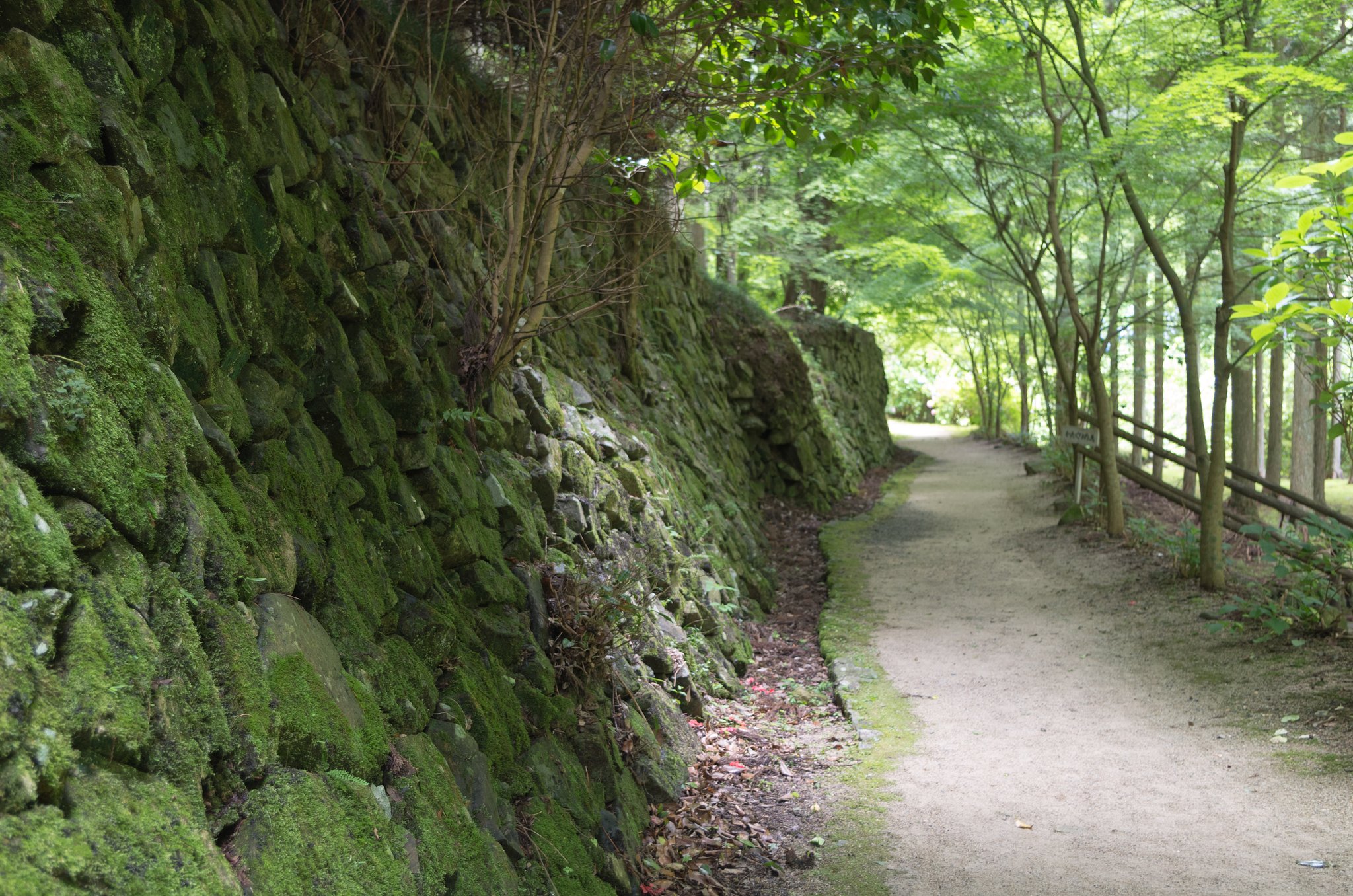 里山の道