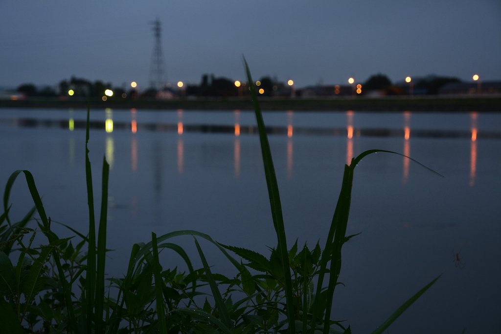 灯り