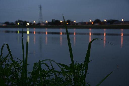 灯り