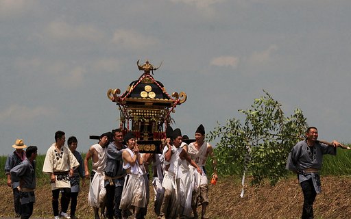 田の幸