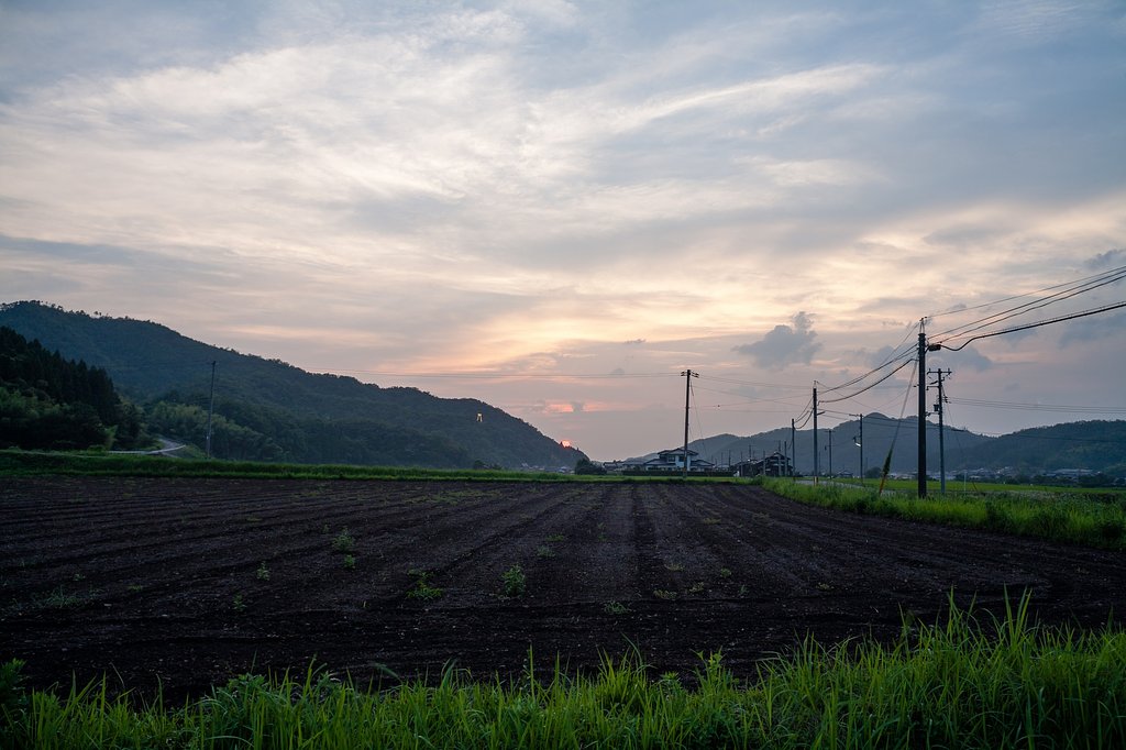 夕焼けに・・。