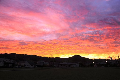 10月15日の写真