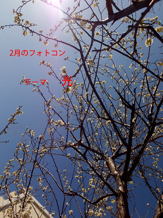2月のフォトコン要綱発表です。