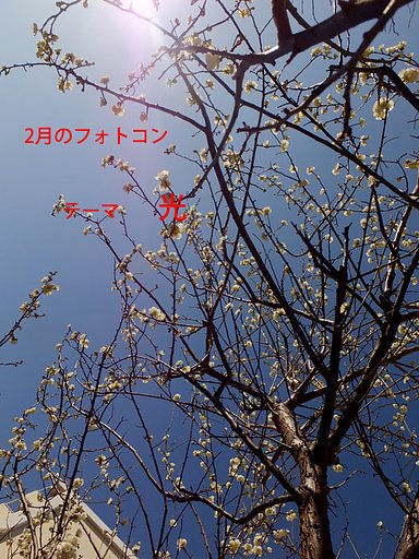 2月のフォトコン要綱発表です。