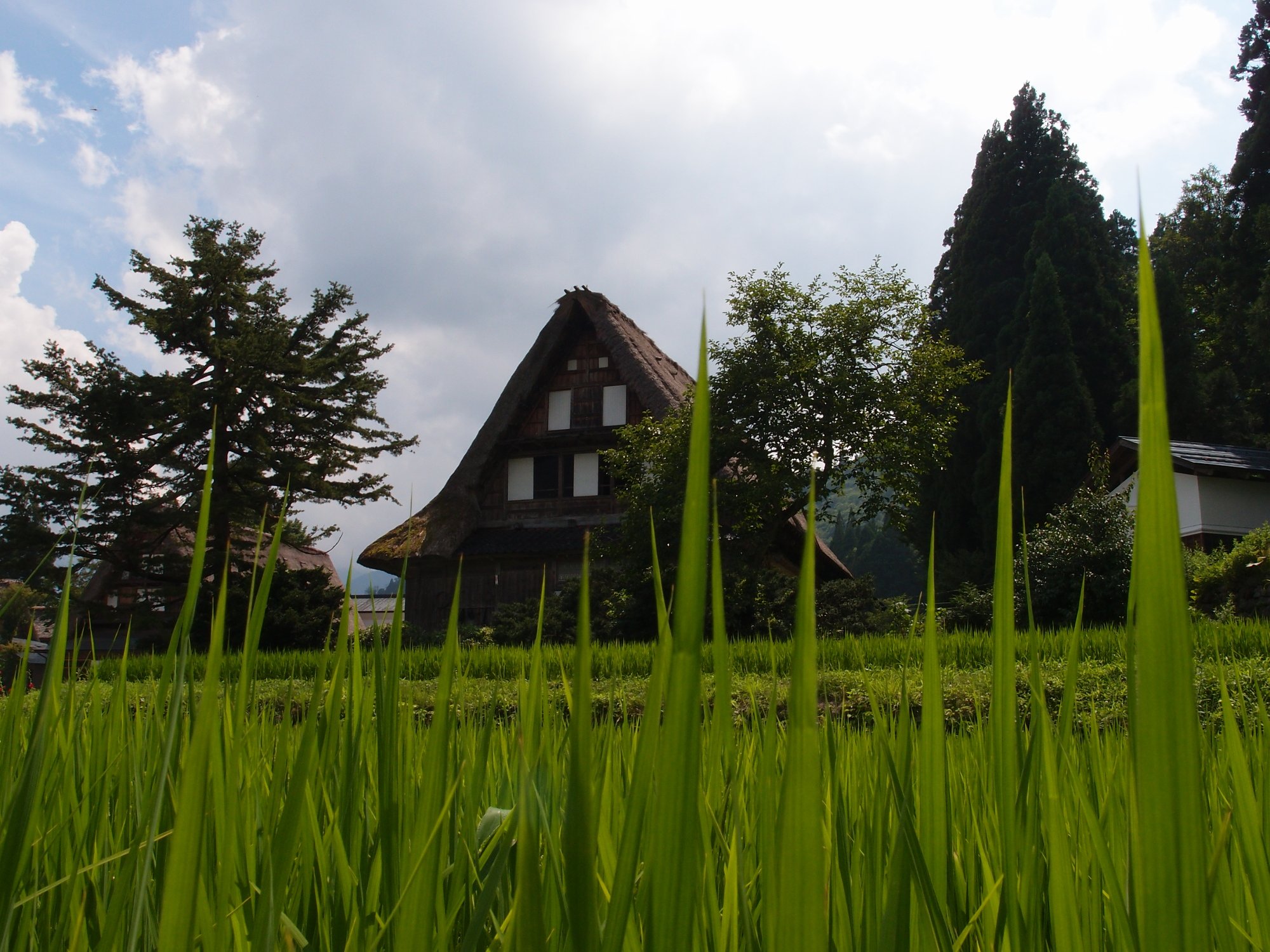 ちょっと夏休みに・・