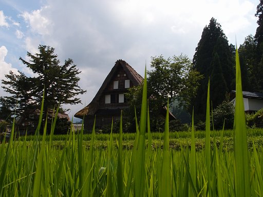 ちょっと夏休みに・・