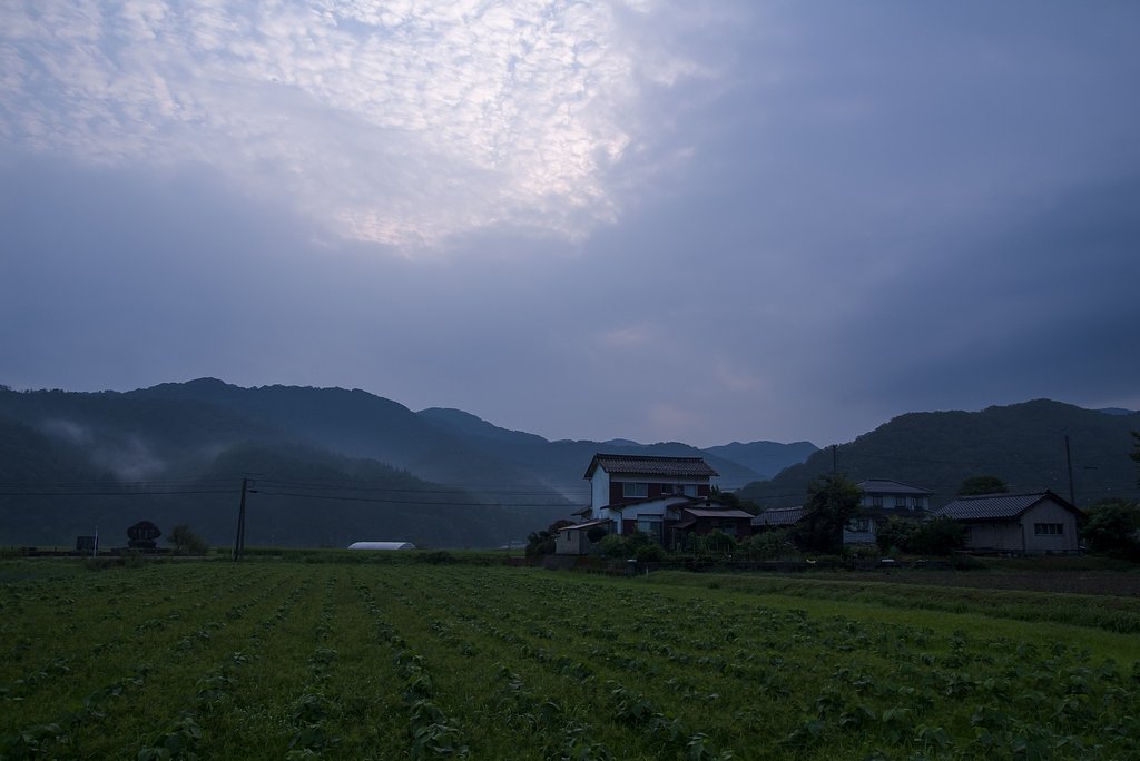 鱗雲の曇り空。