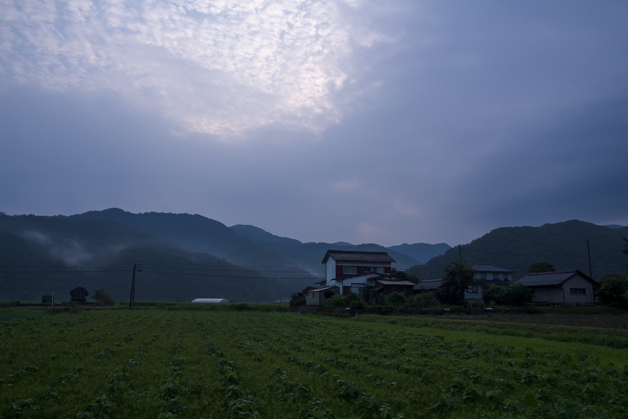 鱗雲の曇り空。
