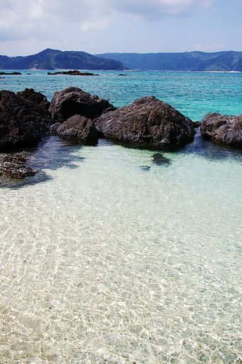 亜熱帯の海