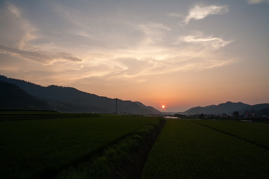 美しい夕焼に!