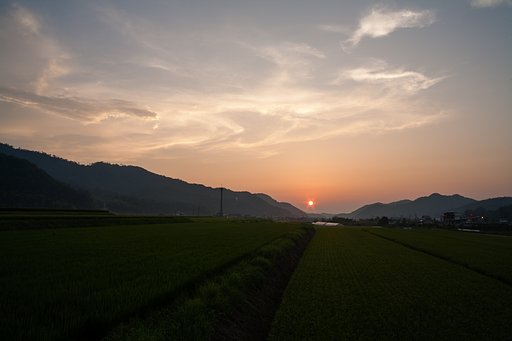 美しい夕焼に!