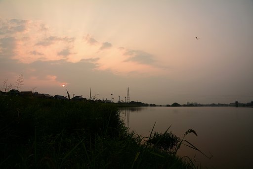 夏の日の出