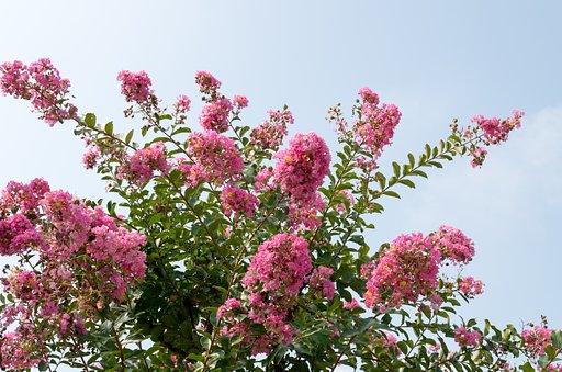【夏】夏の日差し