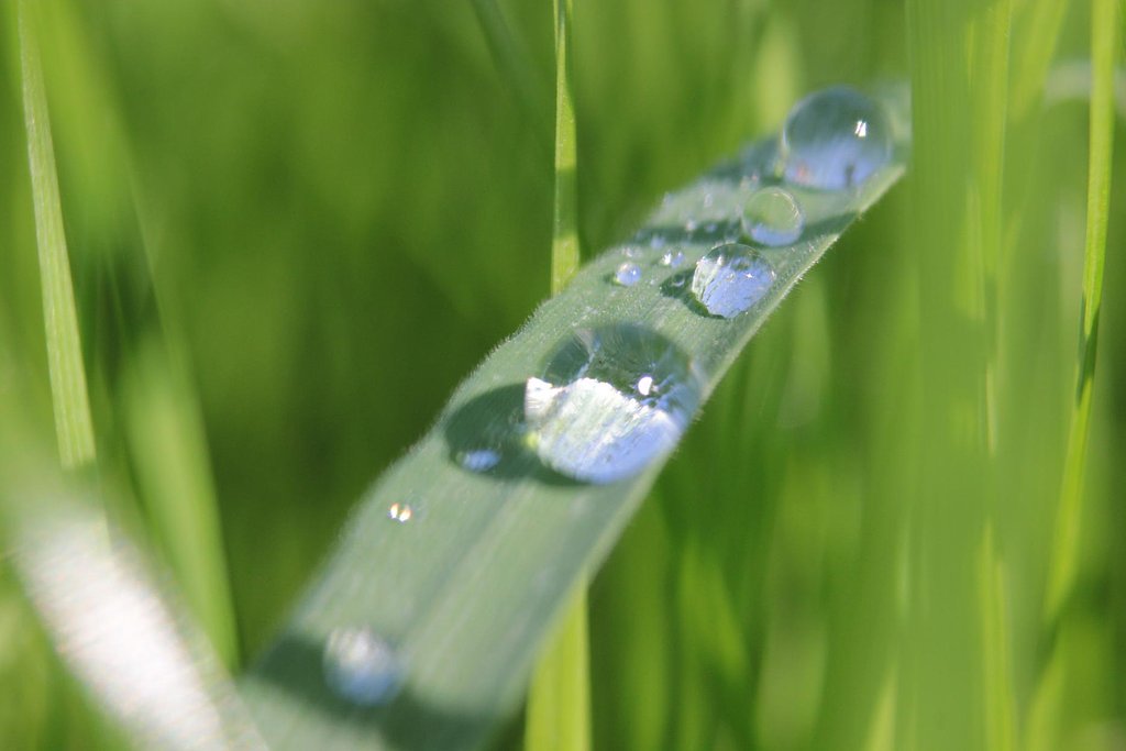 水滴と遊ぶ日