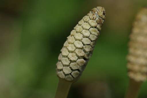 MINOLTA 100/2.8MACRO(I)