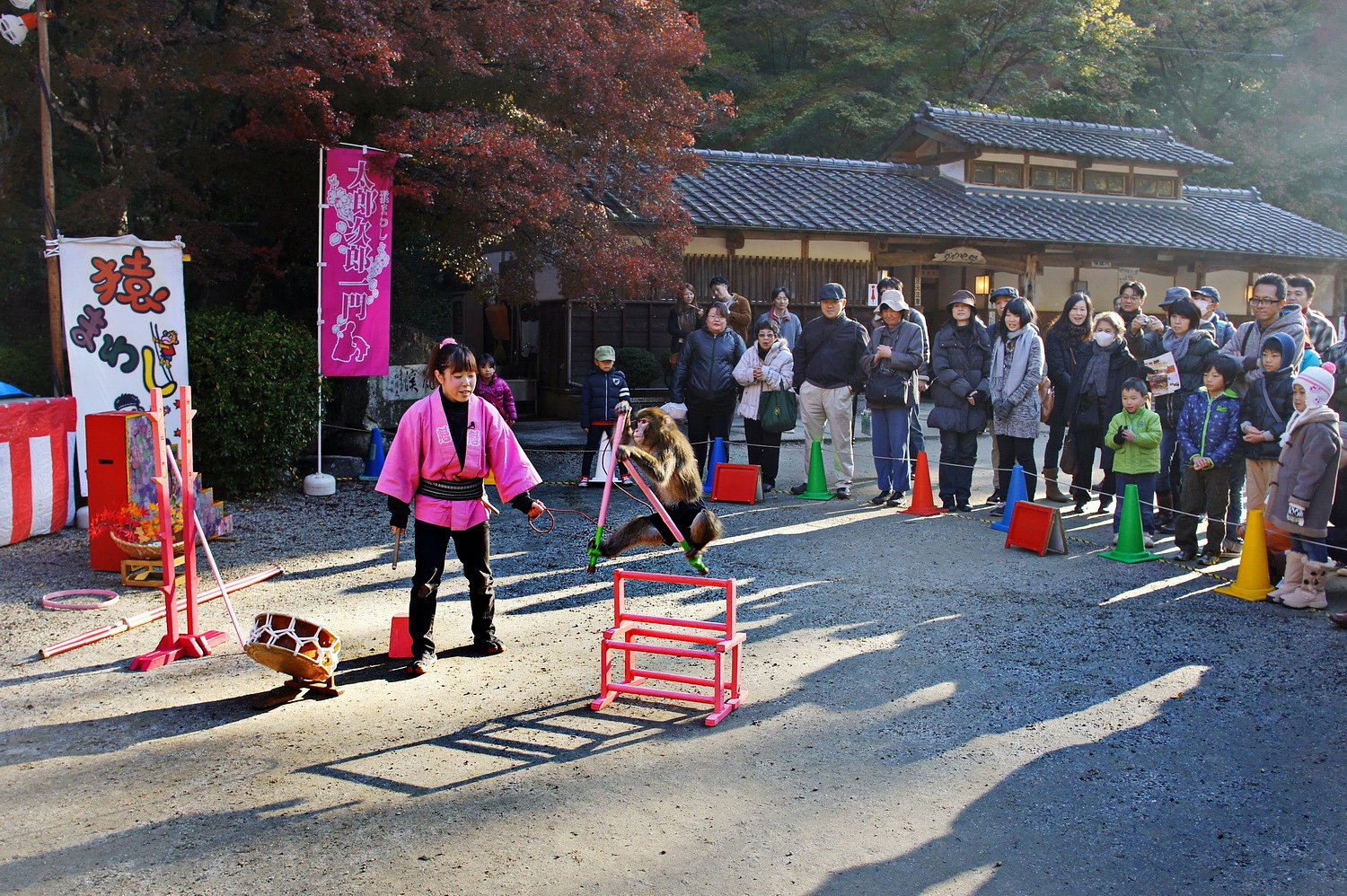 【いのち】燃やして
