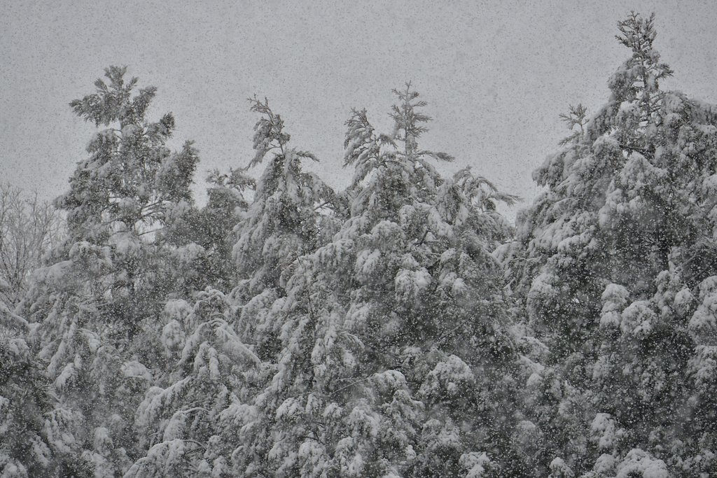 大雪