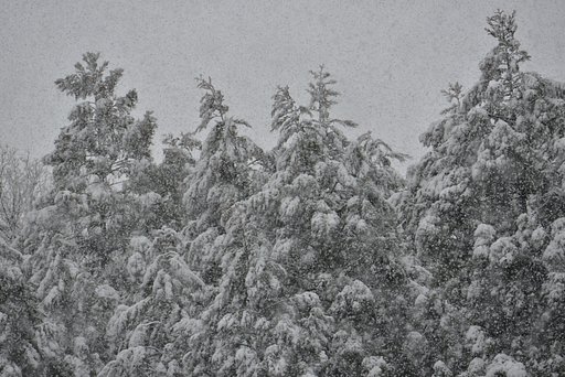 大雪