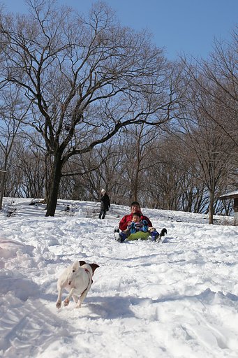 大雪一過