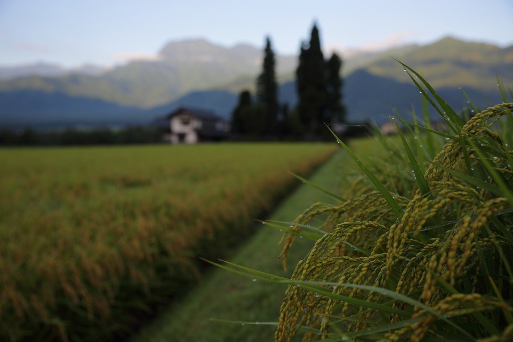 松川村の朝