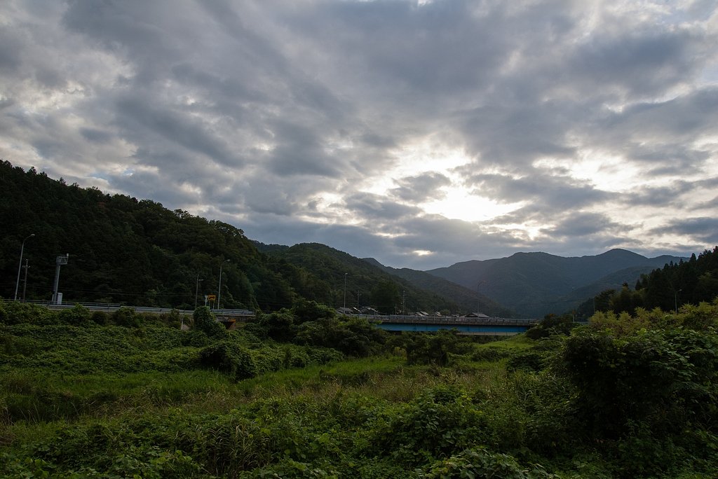 曇り時々晴れから雨に・・。
