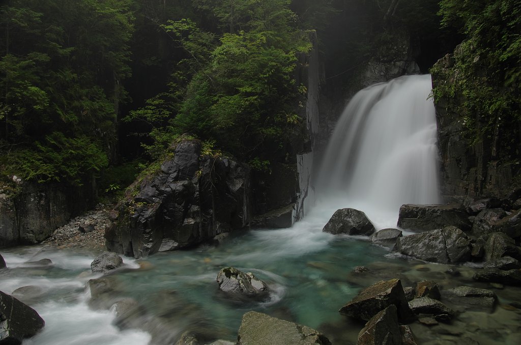 白露の雨