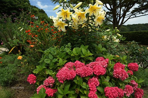 公園の施設内で