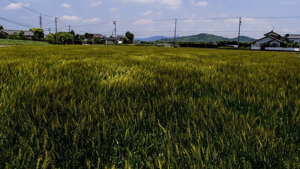 風を撮る・・