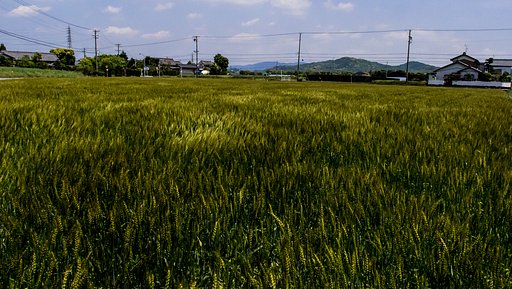風を撮る・・