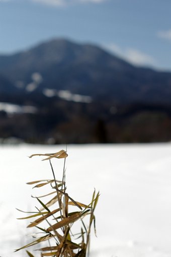 ２ヶ月ぶりの撮影