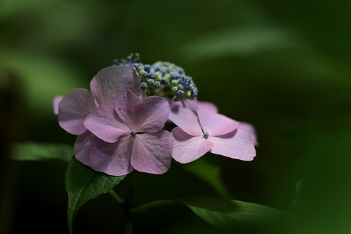 【影】　光と影