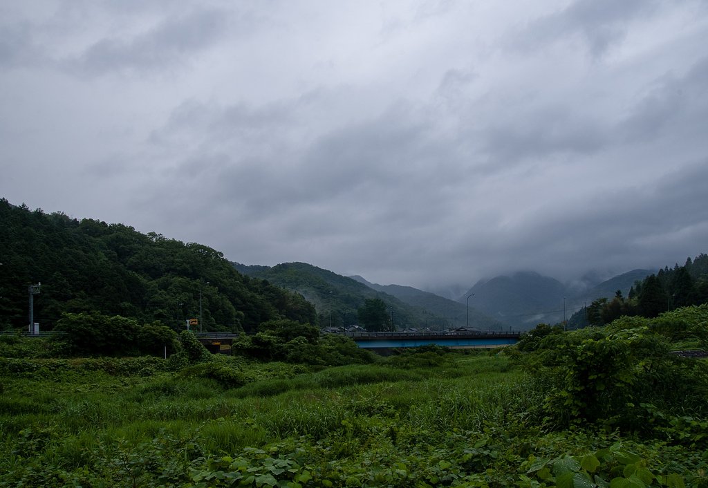 雨降りの朝・・。