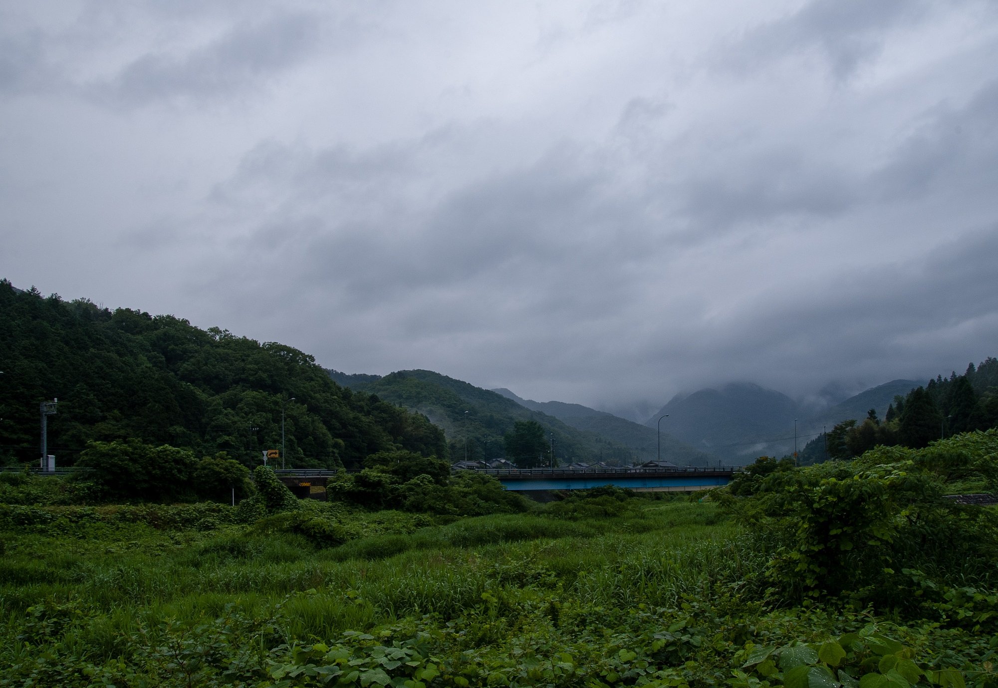 雨降りの朝・・。