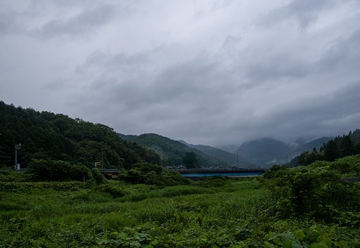 雨降りの朝・・。