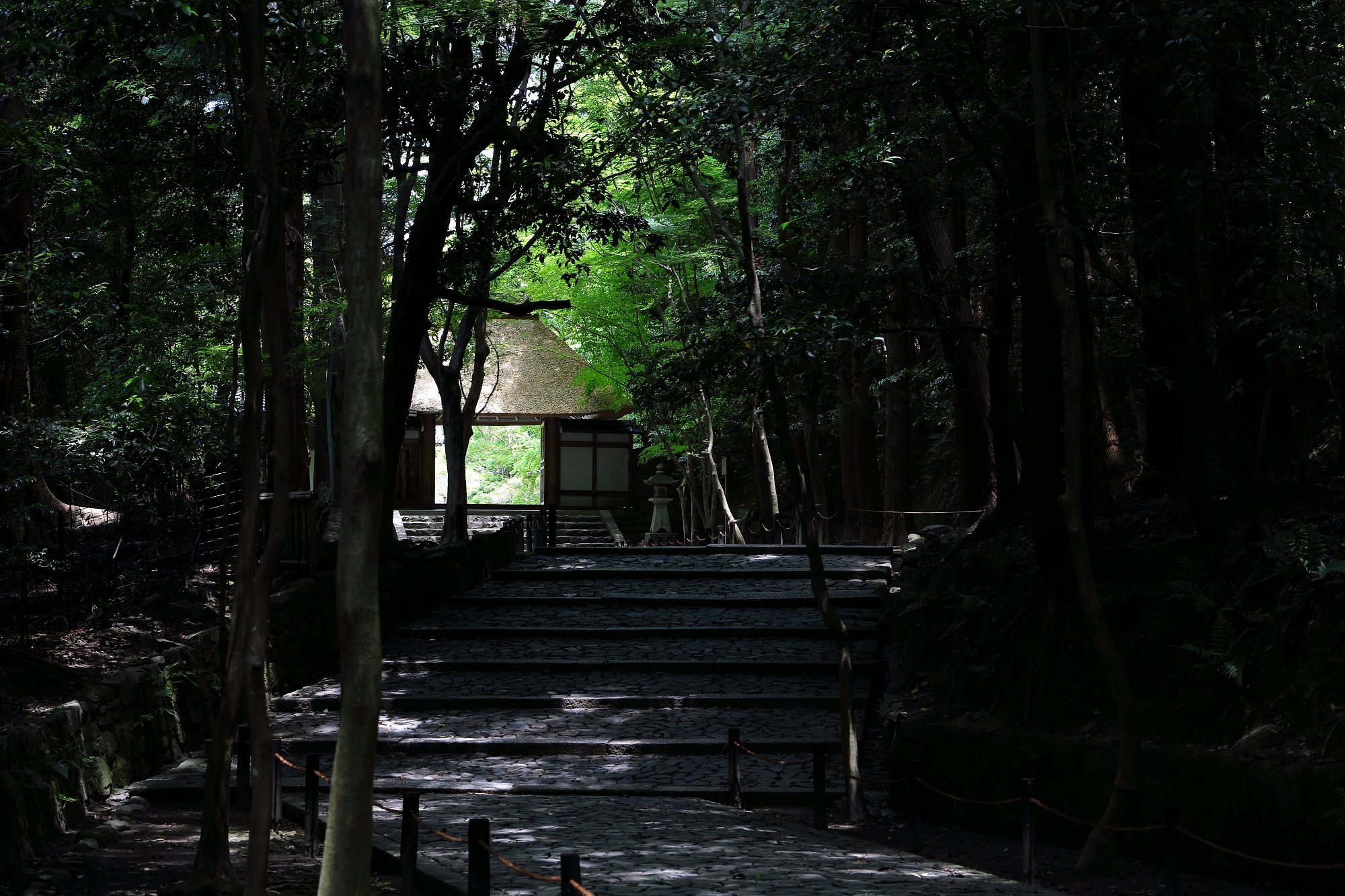 日差し