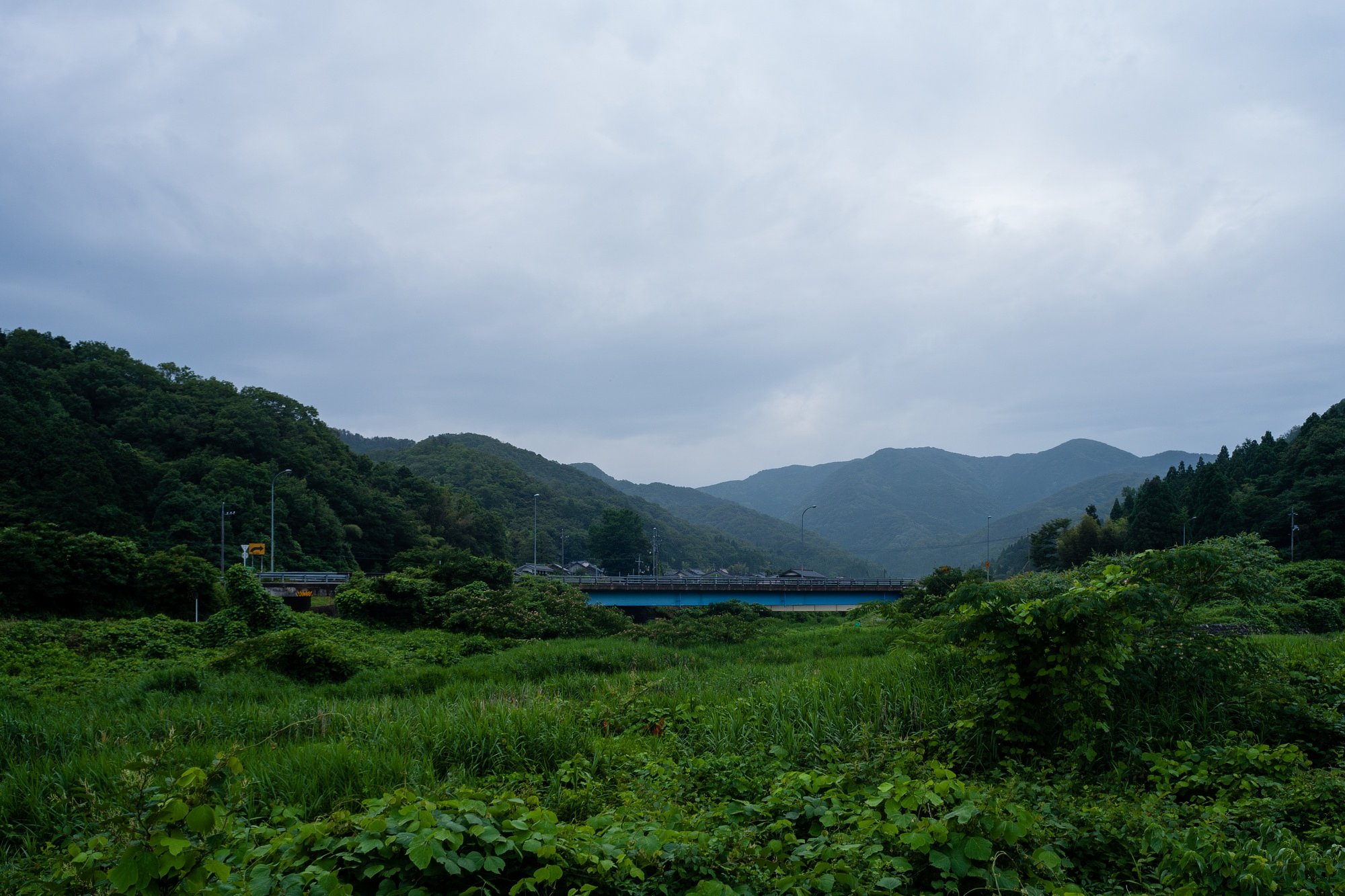 梅雨の雨降り。