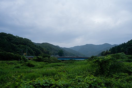 梅雨の雨降り。