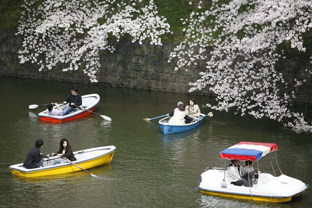 『春』桜は満開