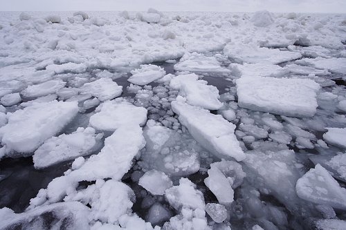 流氷接岸