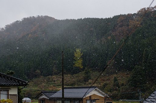 初雪の便り・・。