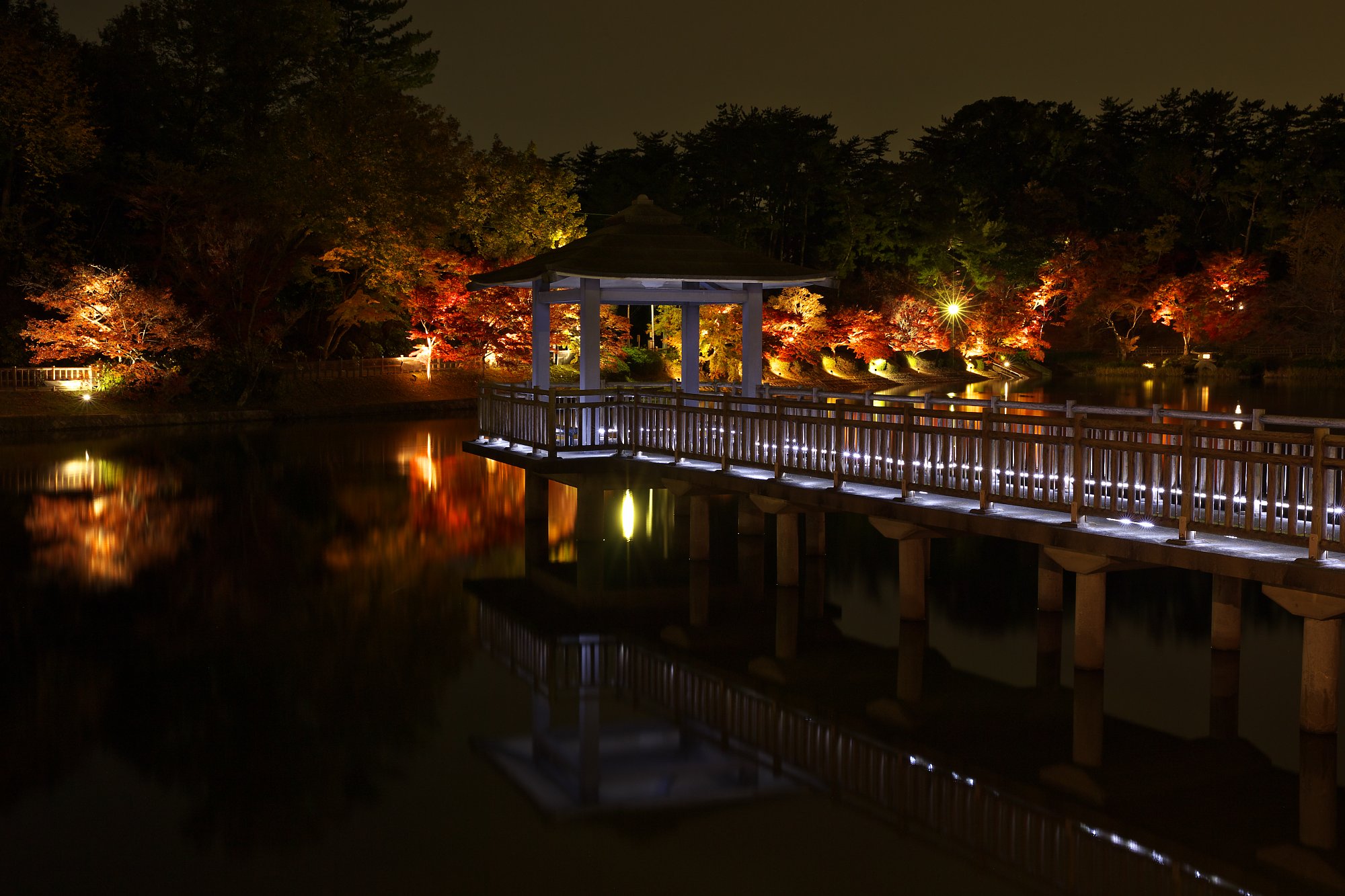 東公園のライトアップ