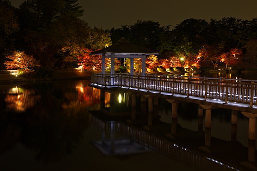 東公園のライトアップ