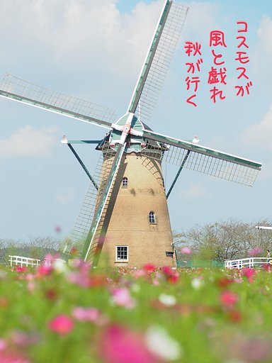 風と戯る
