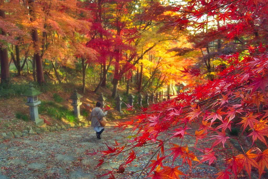 【師走】の紅葉散策
