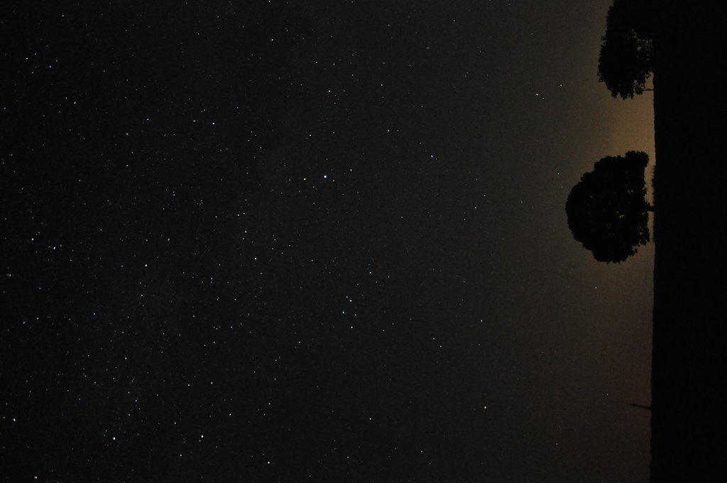 一本の木と星空